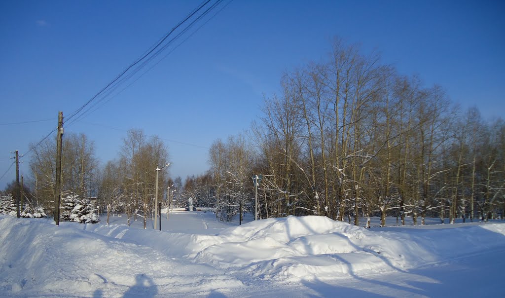 ЧЕРДЫНЬ, парк Победы, февр. 2011.