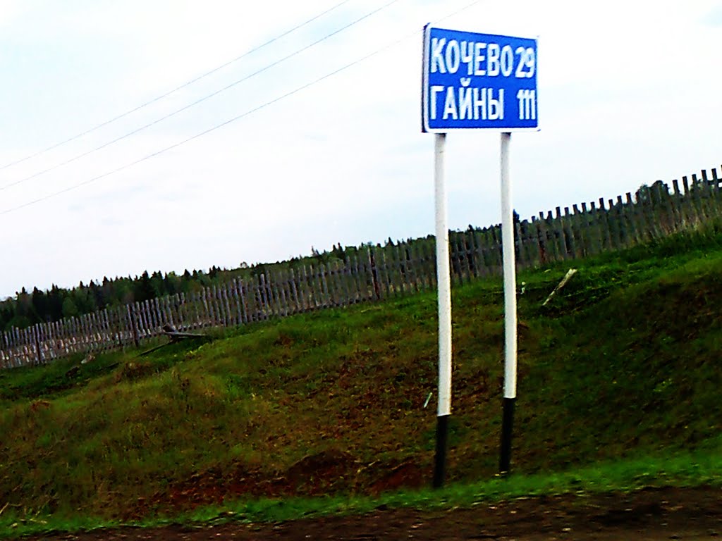 Кочёво. Гайны.