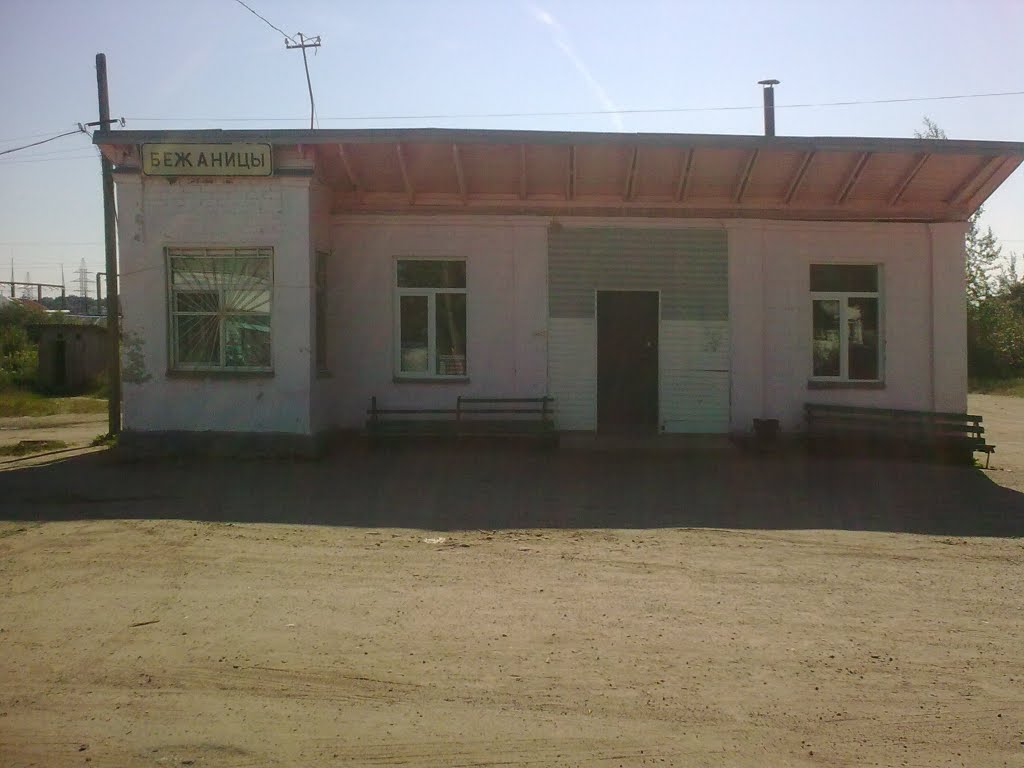 Bus settlement Bezhanitsy