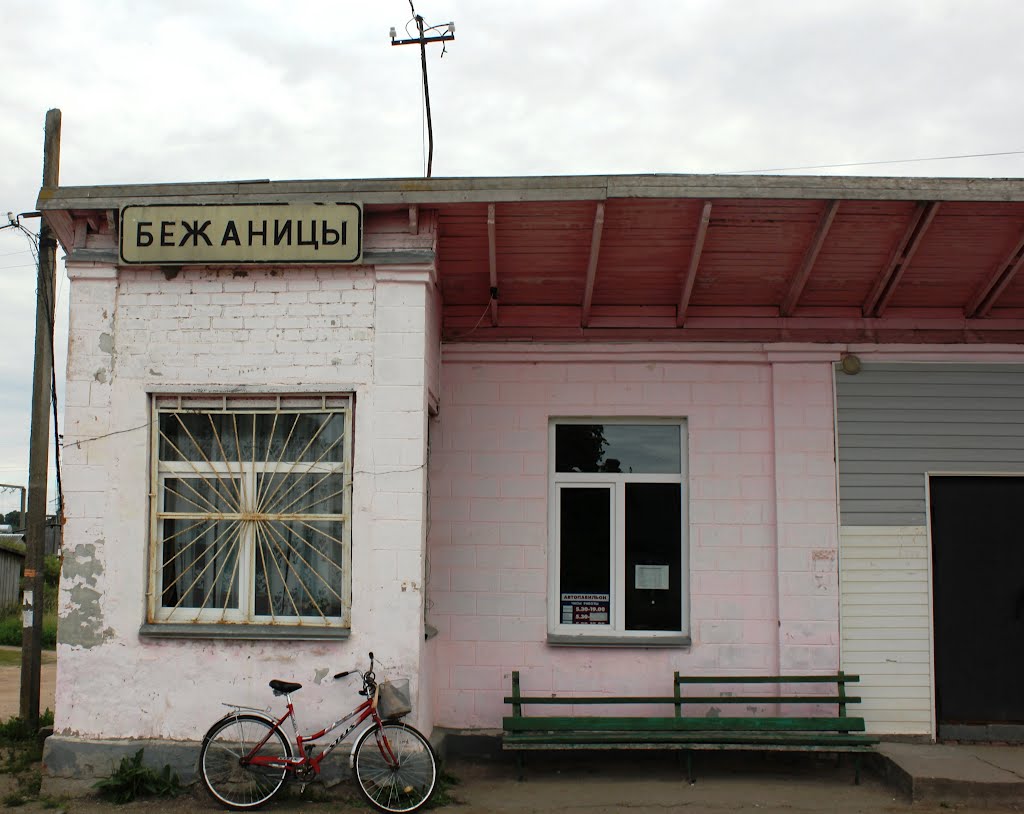 Бежаницы. Автобусная остановка. 26.08.2012