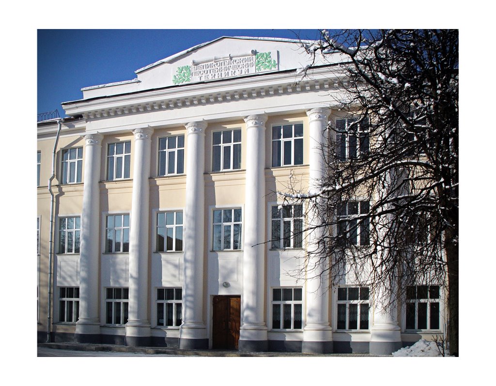 Великолукский Лесотехнический техникум