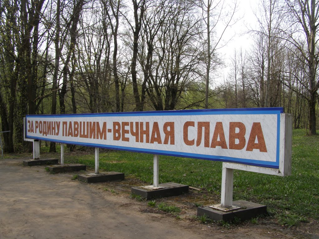 В парке Победы