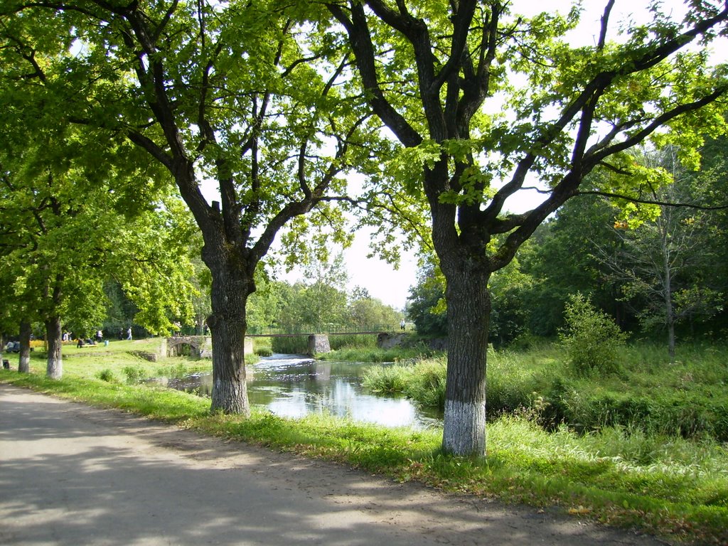 Gdov