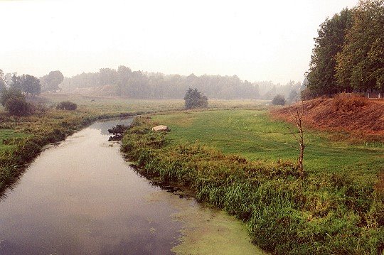 River Gdovka