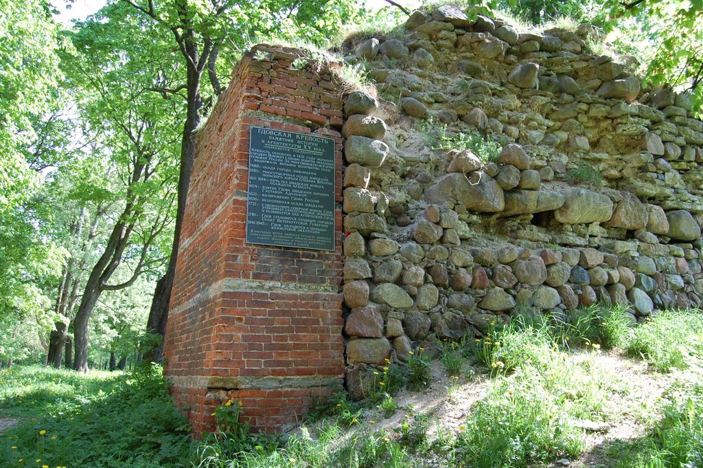 Fortress Gdov