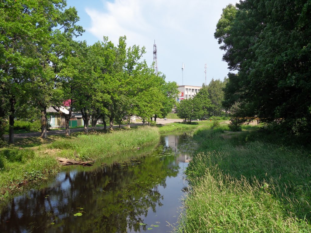 2010. Гдов. Река Гдовка у крепости.