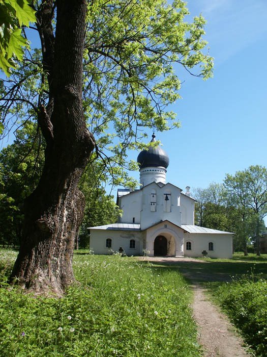 Gdov
