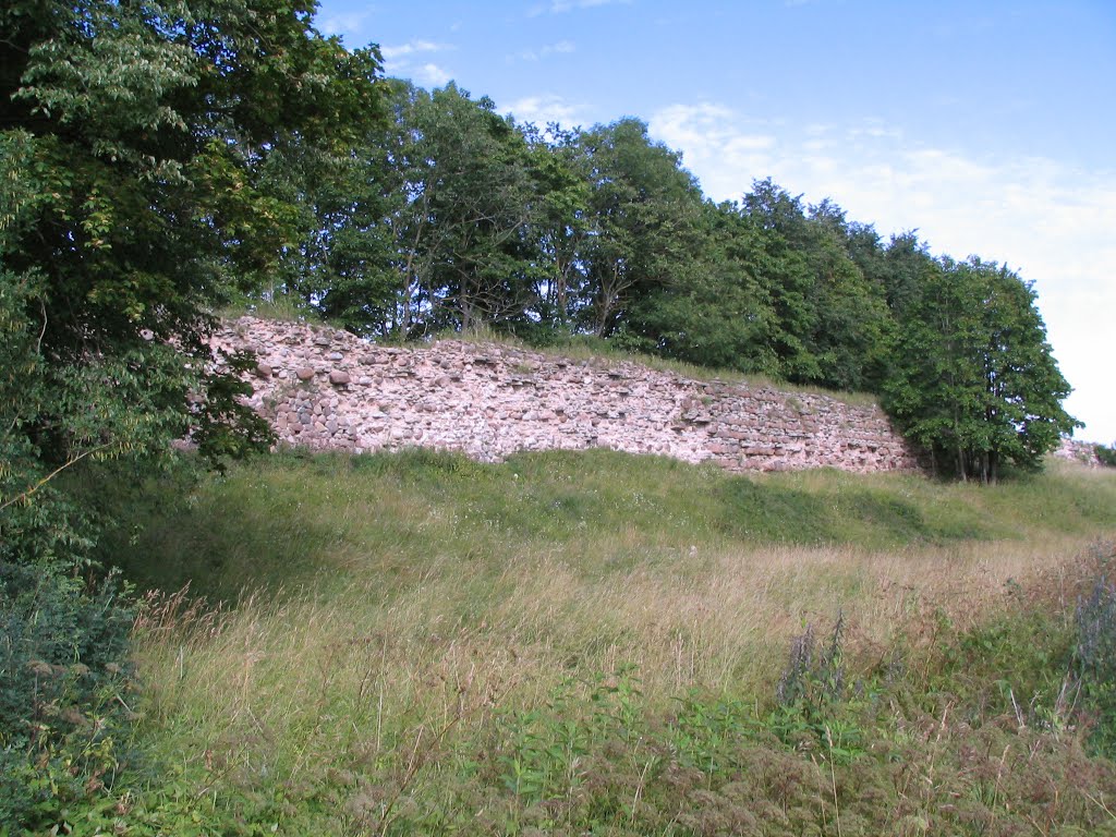 Гдовская крепость (Gdov fortress)