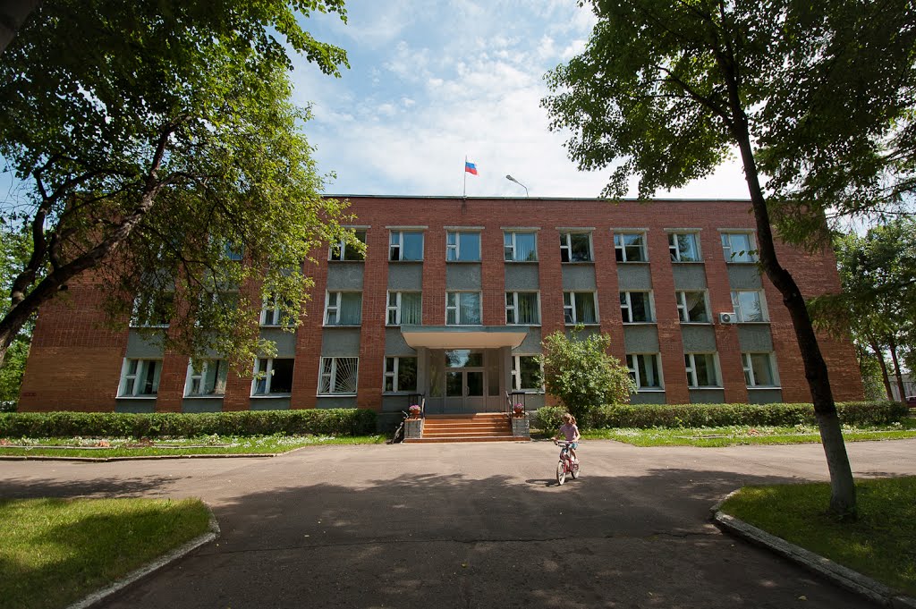 Dedovichi