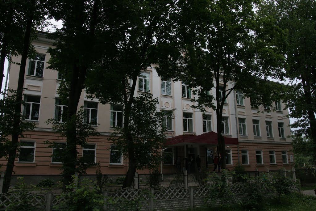 Дноўская школа