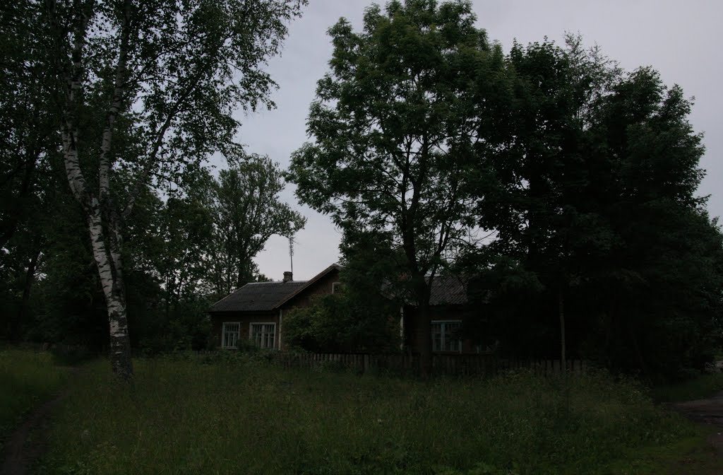 Дно, такое Дно