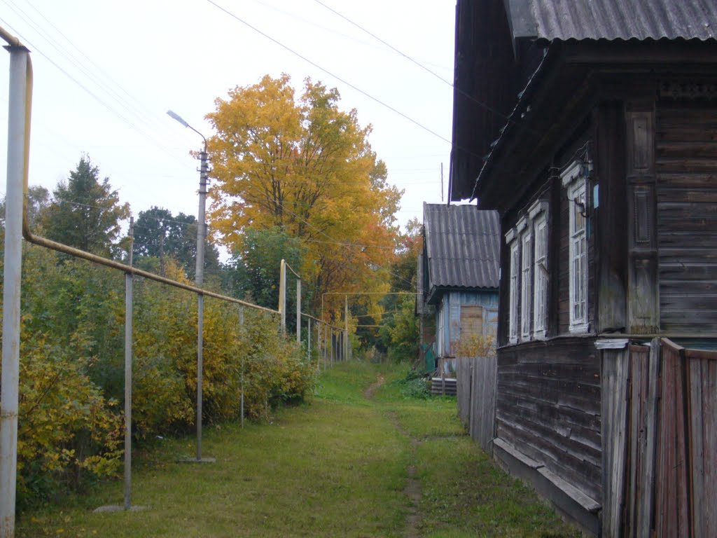 Улица Красина