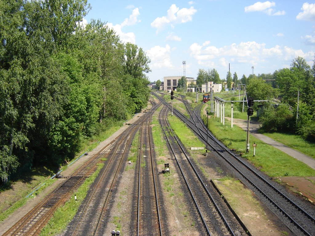 Переплетающиеся пути