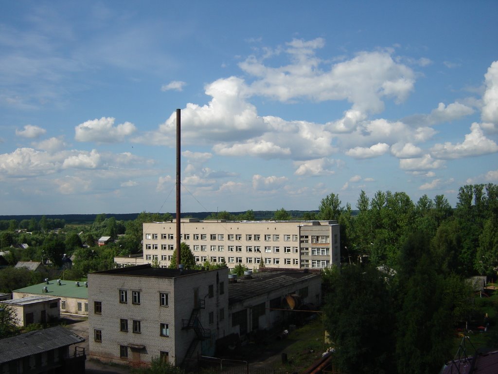 Зелёная панорама