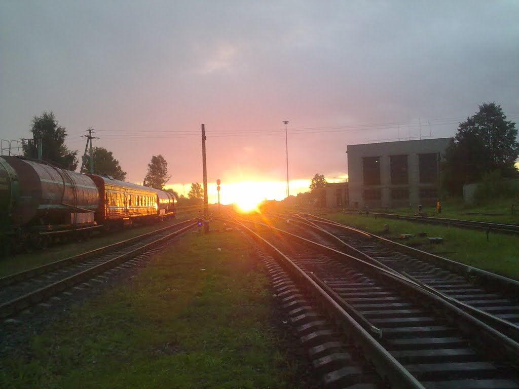 Восход над Бологовским парком (31 августа 2011 года).