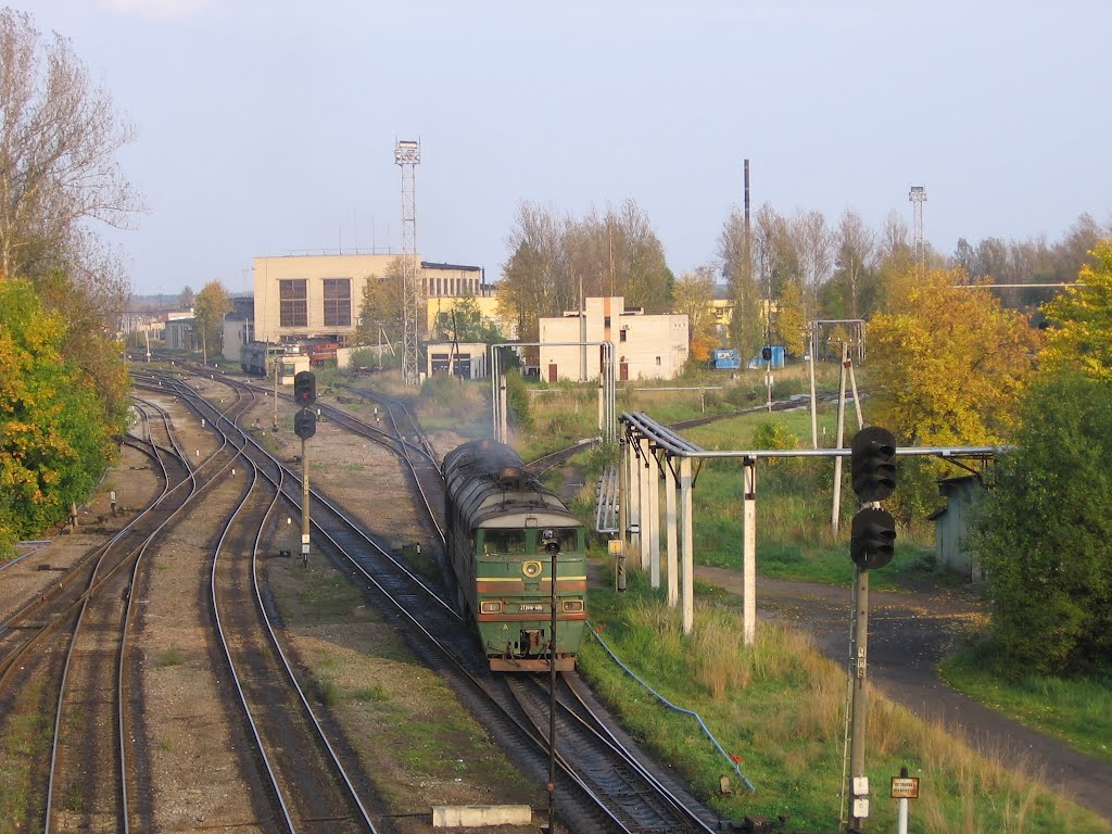 Дно.Вид на локомотивное депо.