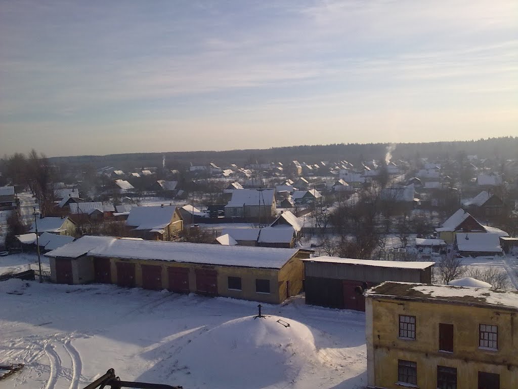Вид с крыши ЭЧ (30 января 2012 года).