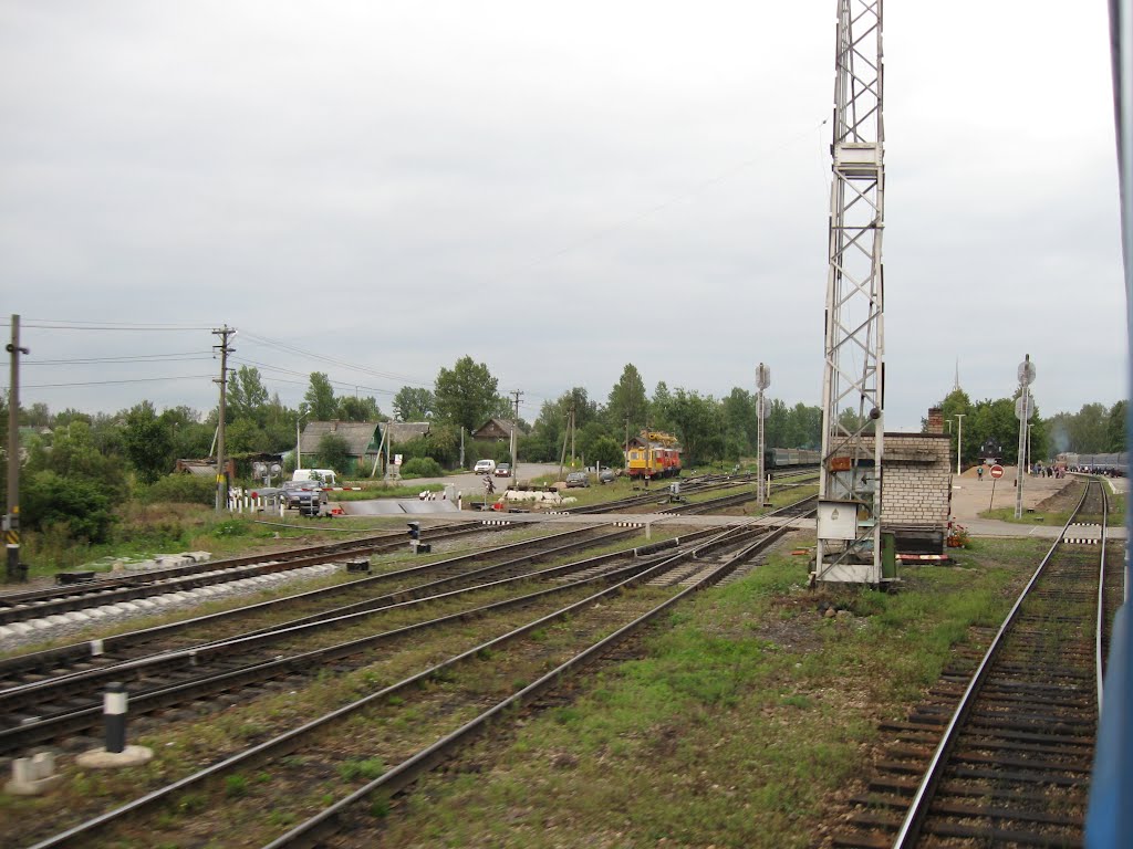 Дно