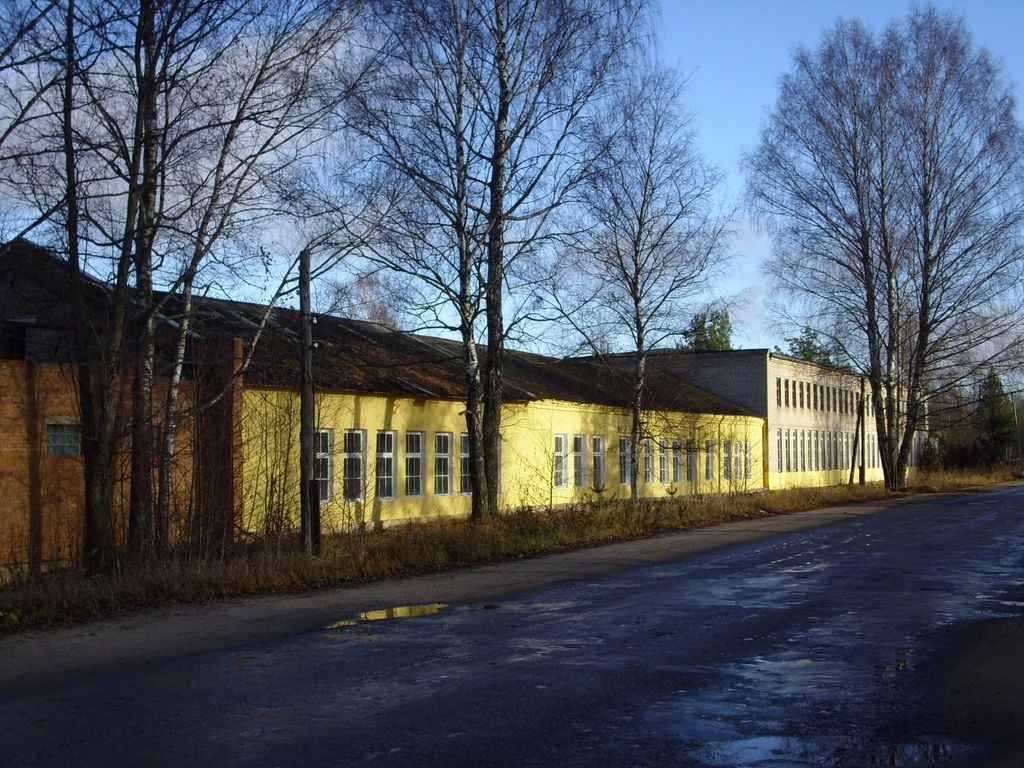 ул. Гагарина д.59
