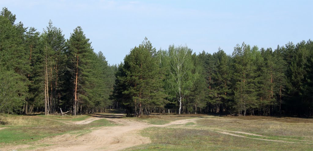 Ирдица. Вид от нижнего рынка.