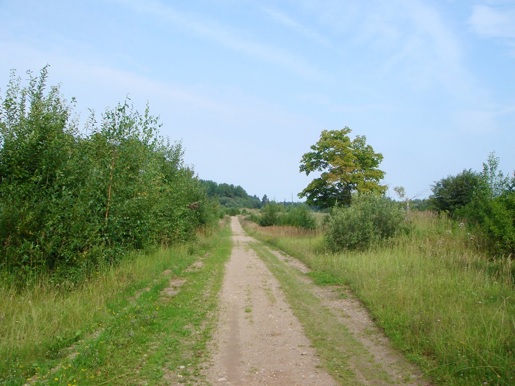 В деревне Дупли - village Dupli