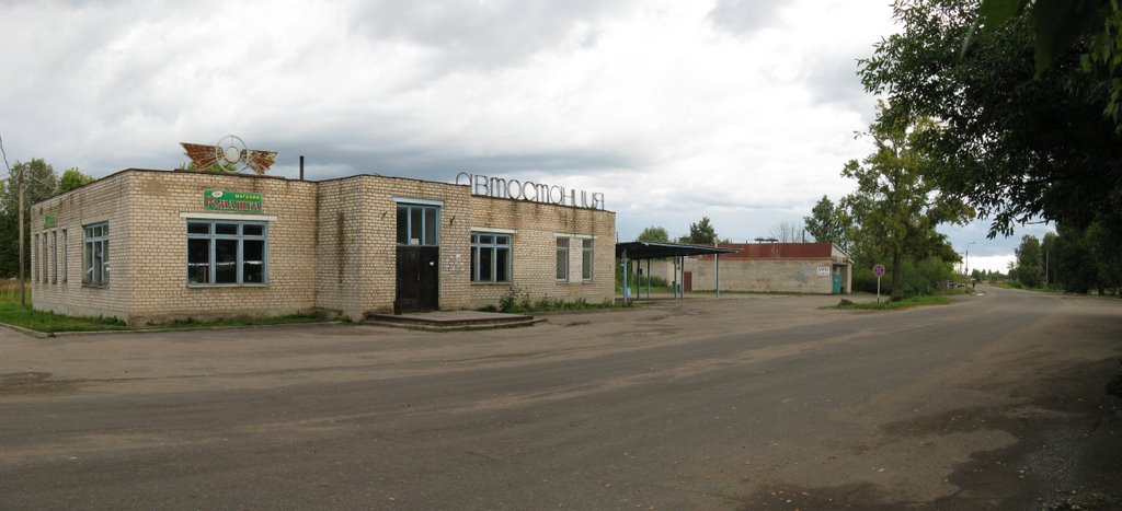 Автовокзал. 24 августа 2009 г.