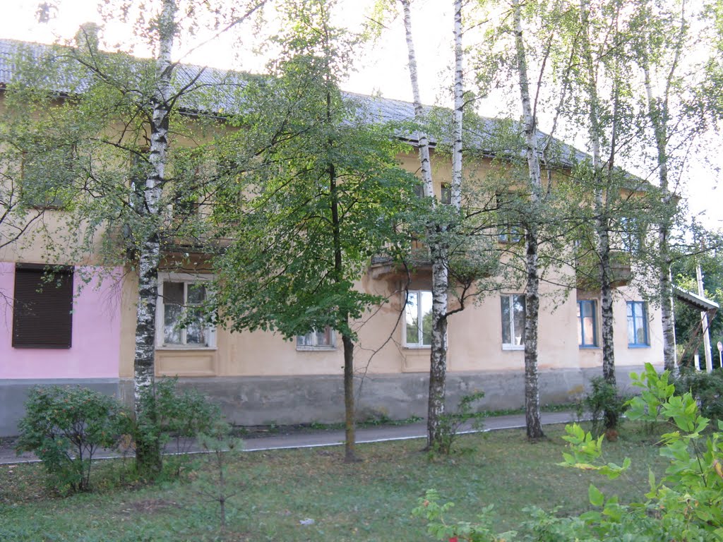Локня. 20 августа 2010 г.