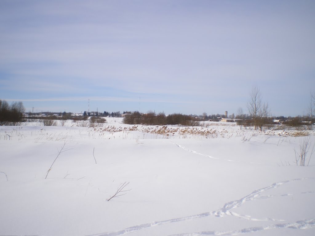 Вид на Локню. Зима 2011.