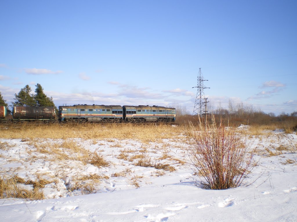 Железная дорога в Локне. Весна 2011.