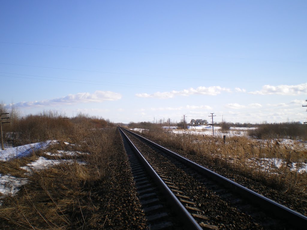 Железная дорога в Локне. Весна 2011.