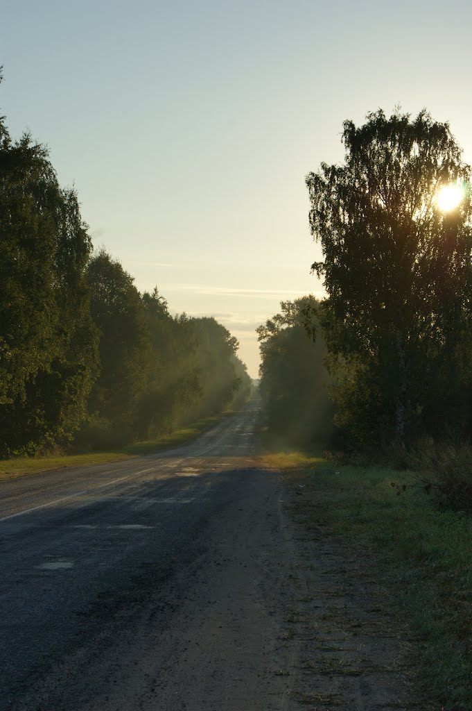 Дорога на Бородино