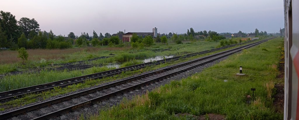 Утро на станции Локня. Вид в южном направлении.