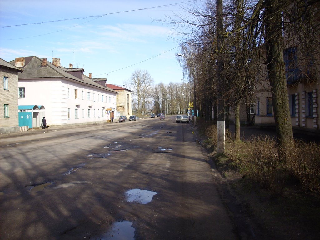 ул Ленина,центральная