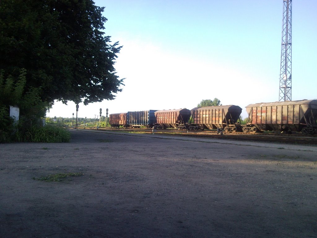 Невель