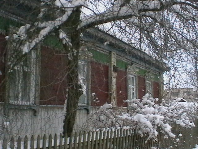 home windows