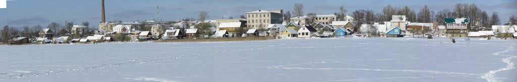 панорамный вид с оз.Невель
