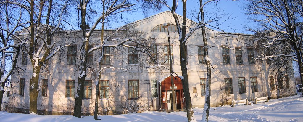 Земская больница. 1915 г.