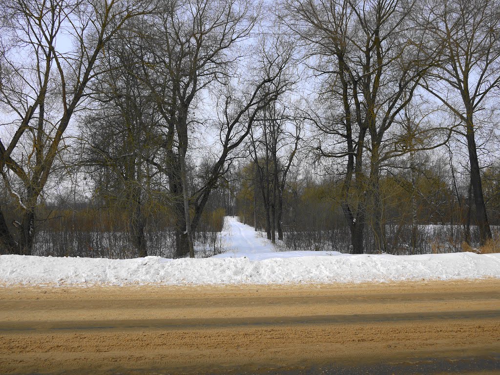 Летний сад