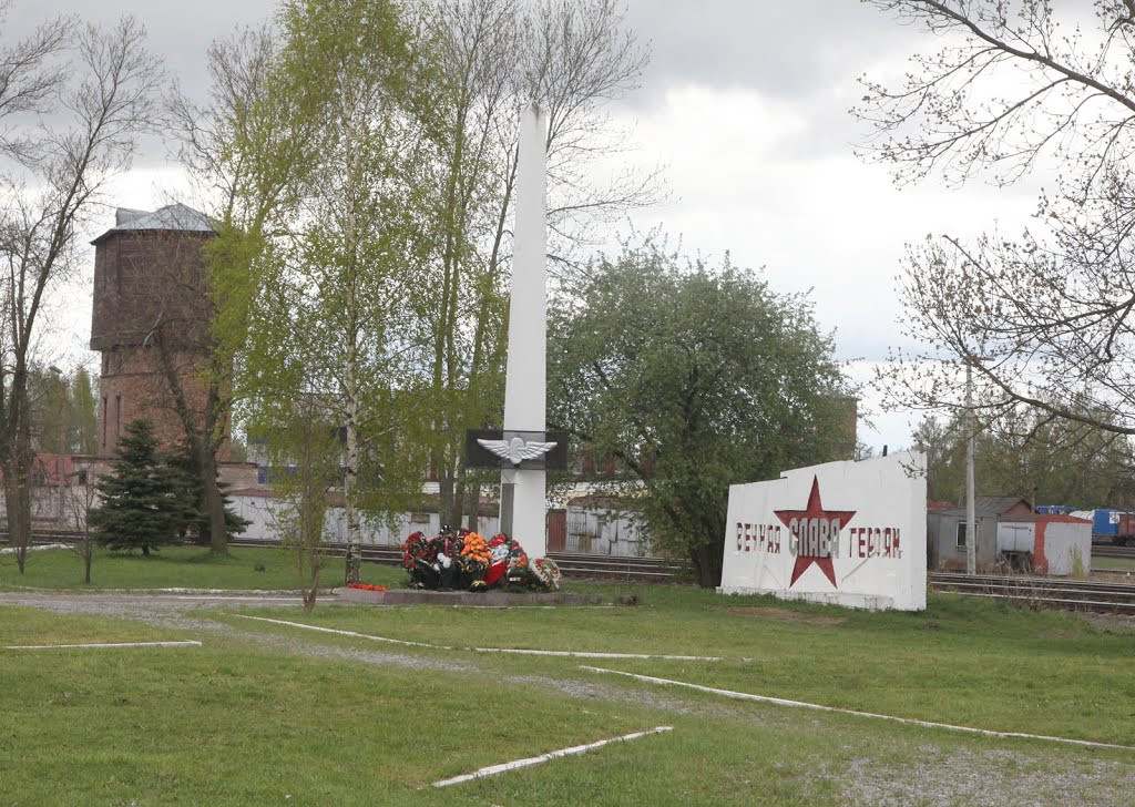 Новосокольники. Памятник. Novosokolniki. Monument