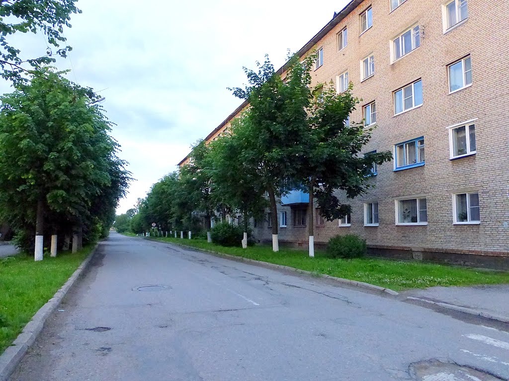 г. Новосокольники, Псковская область, Россия. Улица Матросова.