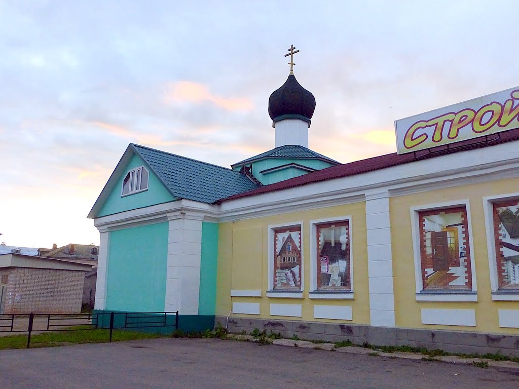 Novosokol’niki