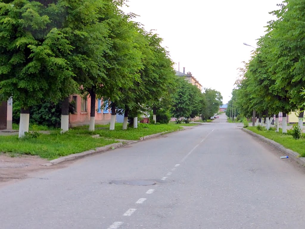 г. Новосокольники, Псковская область, Россия. Улица Матросова.