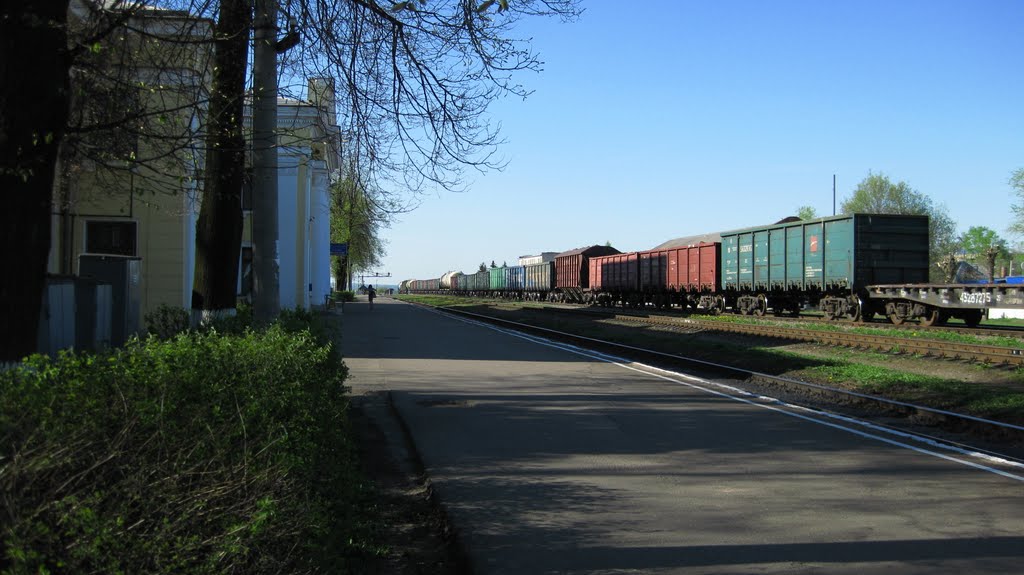 Станция Новосокольники