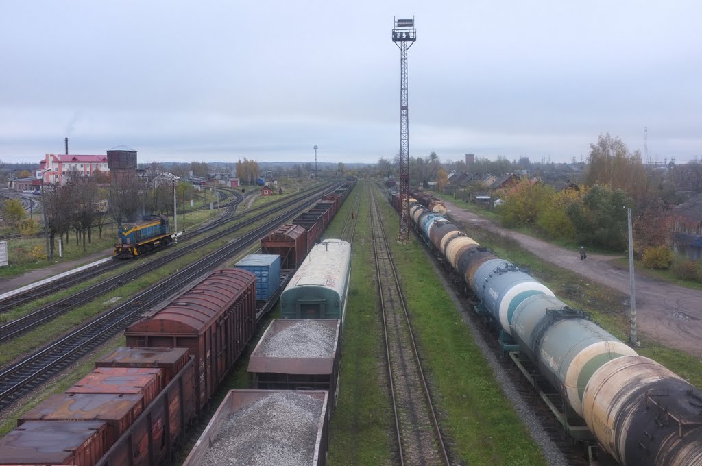 Новосокольники. Жележнодорожные пути