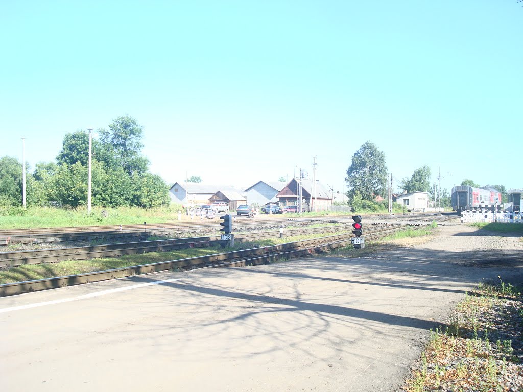 Станция Новосокольники