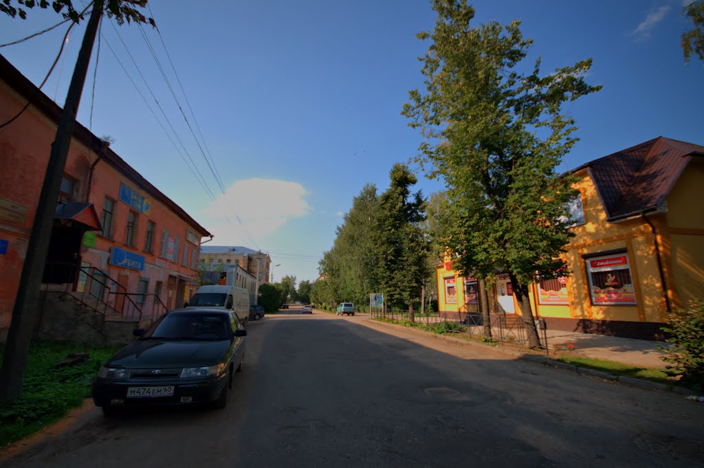 г.Опочка