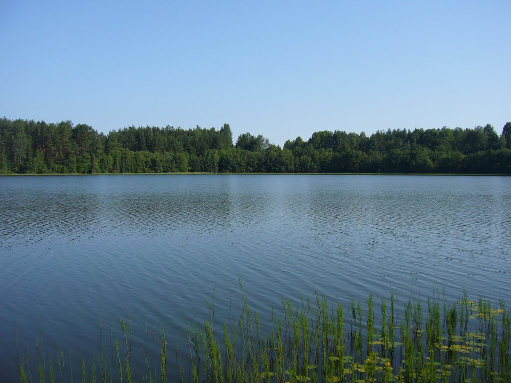 Новоржевский район, д. Рахнихино