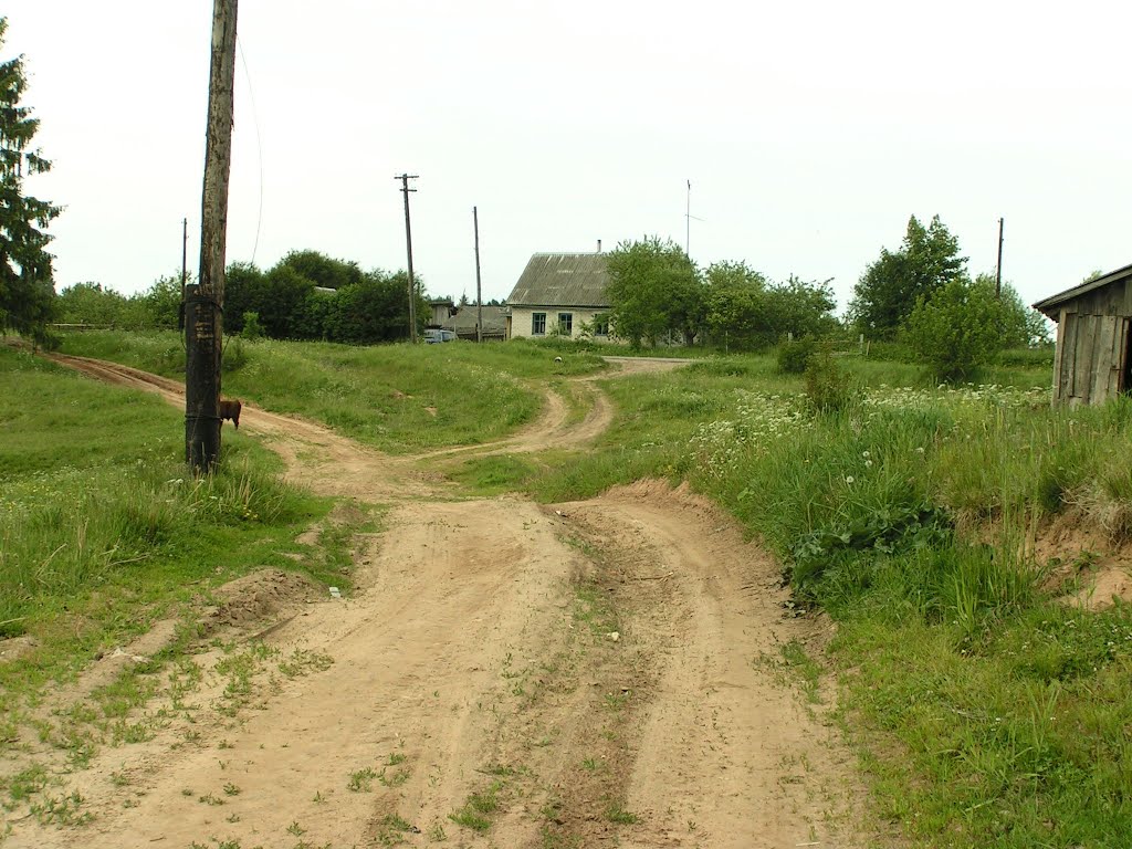 д. Рахнихино. Дорога из леса