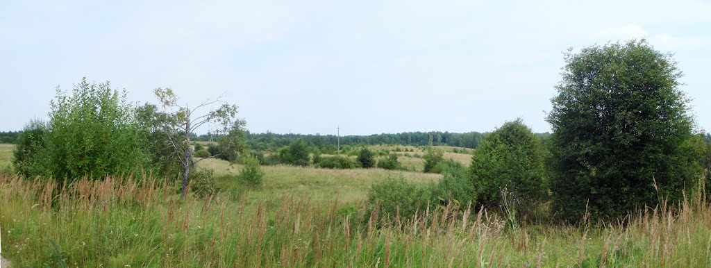 Поле - Field