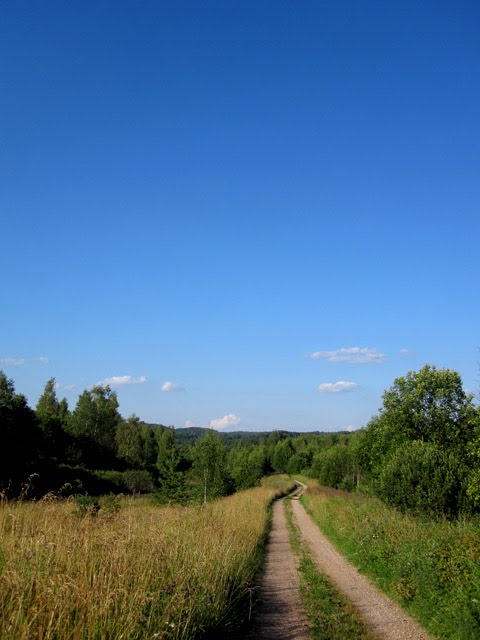По дороге в д.Жуково, 2012г.